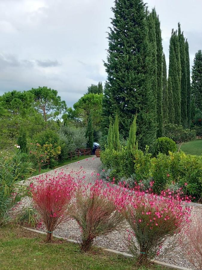 Ferienwohnung Tenuta Tegolato Barberino di Val dʼElsa Exterior foto